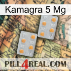 Kamagra 5 Mg 25